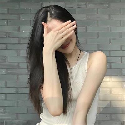 绽放的玫瑰